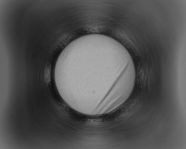 X0000095690694200801291217