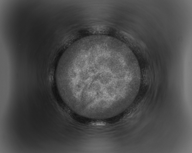 X0000095690695200801291217