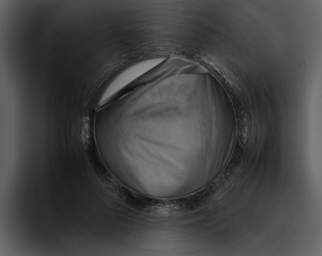 X0000095690696200801291217