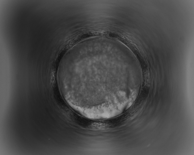 X0000095690699200801291217