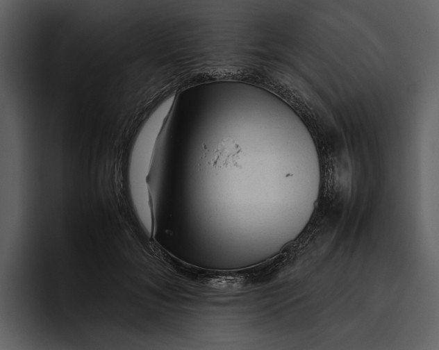 X0000095690700200801291217