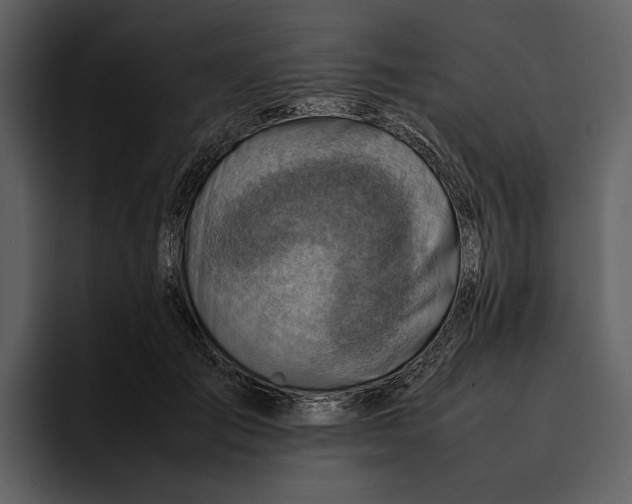 X0000095690701200801291217