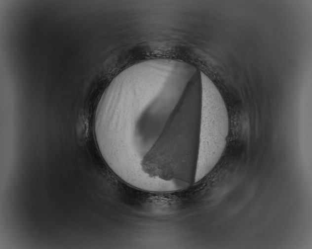 X0000095690703200801291217