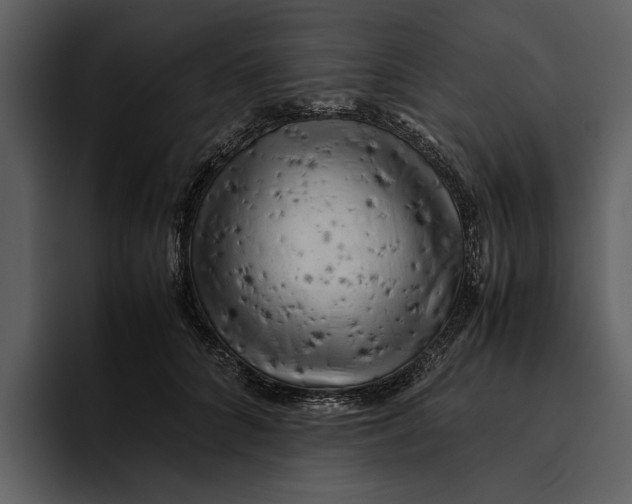 X0000095690704200801291217