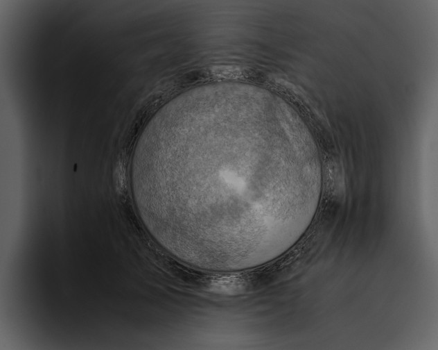 X0000095690705200801291217