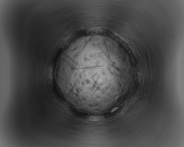 X0000095690708200801291217