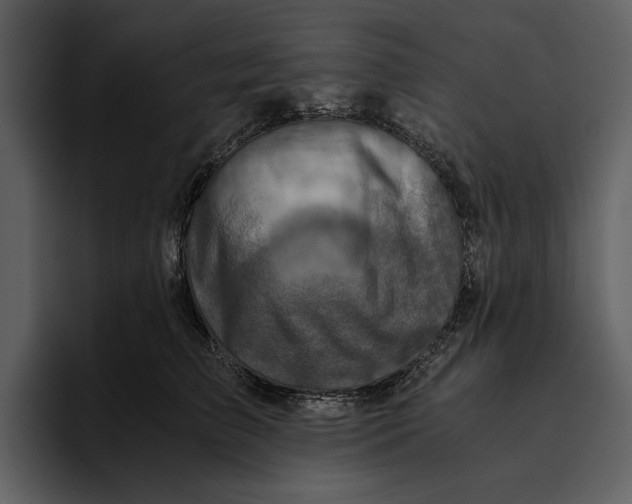 X0000095690709200801291217