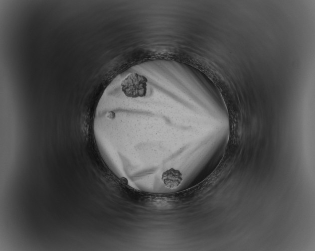 X0000095690710200801291217