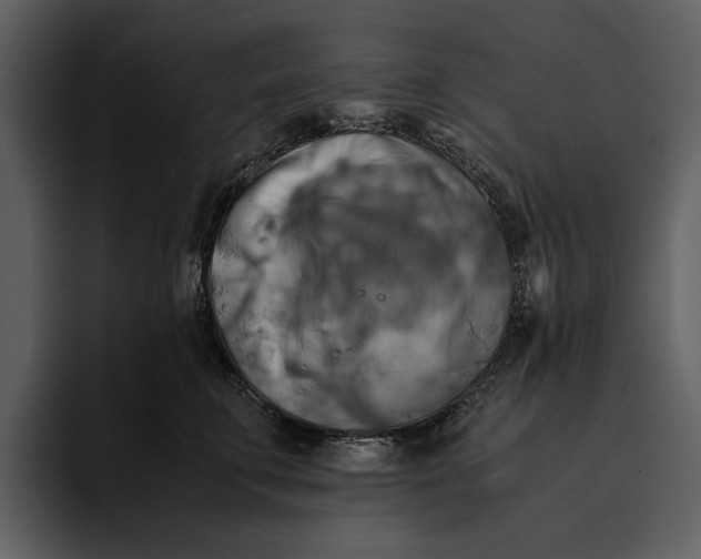 X0000095690711200801291217