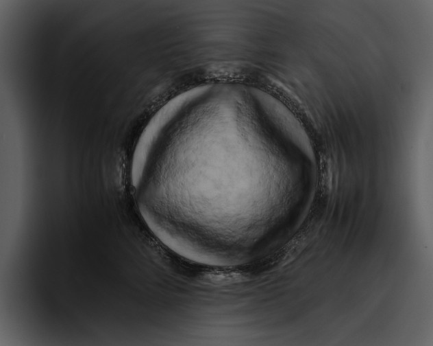 X0000095690712200801291217