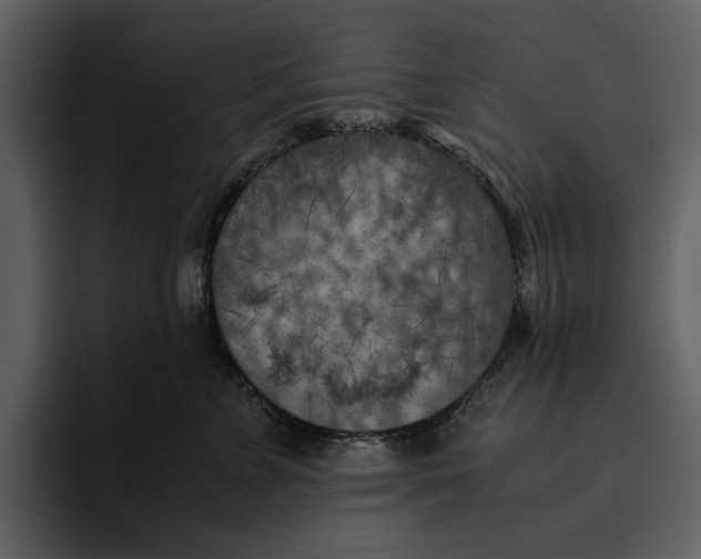 X0000095690715200801291217