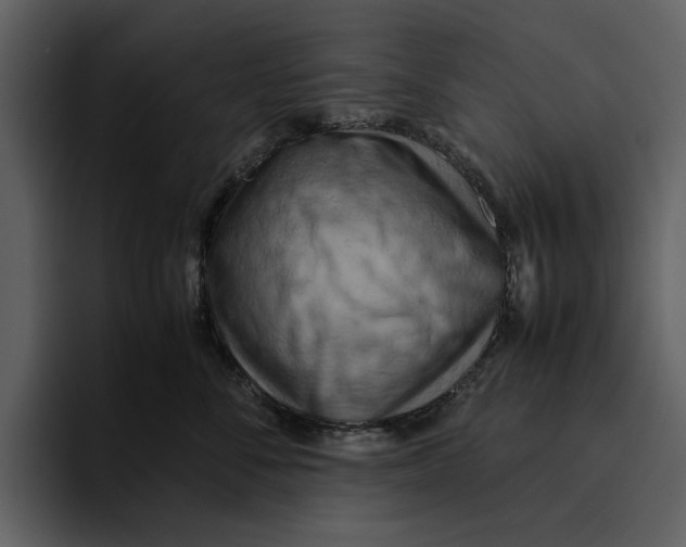 X0000095690716200801291217