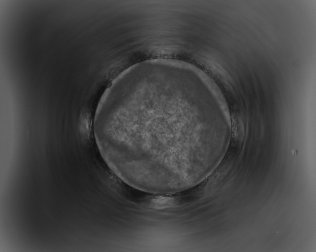 X0000095690718200801291217