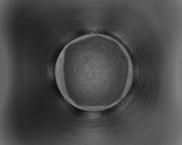 X0000095690719200801291217