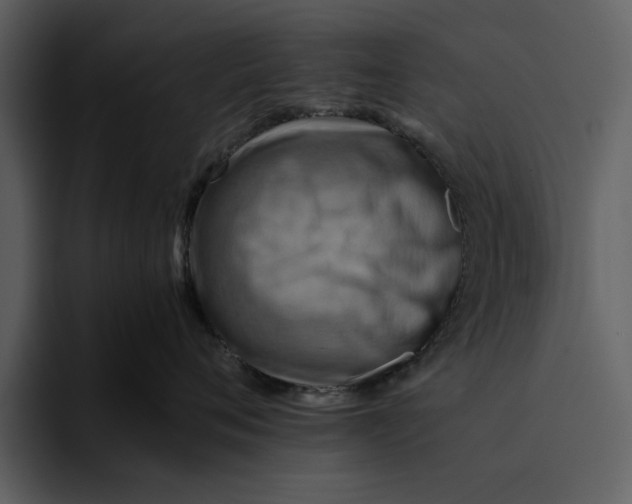 X0000095690720200801291217