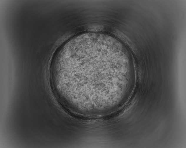 X0000095690721200801291216