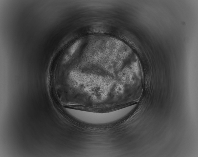 X0000095690722200801291216