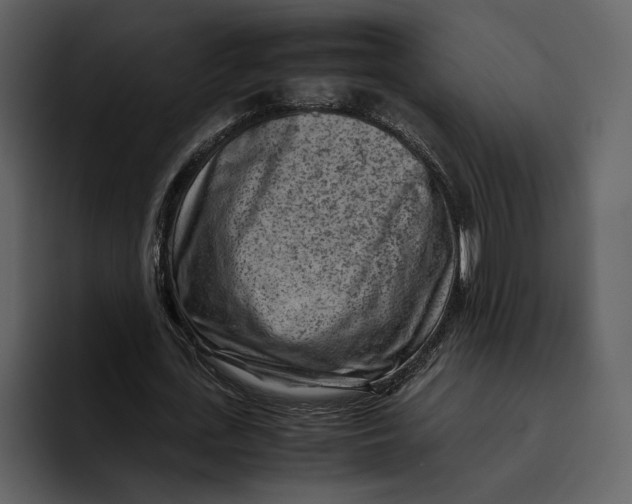 X0000095690723200801291216