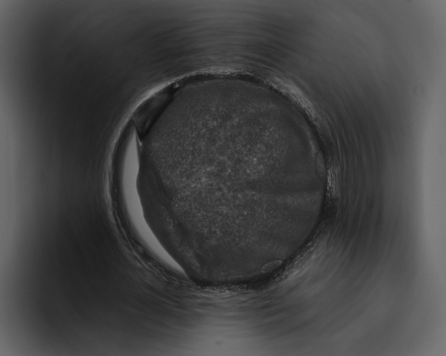 X0000095690724200801291216