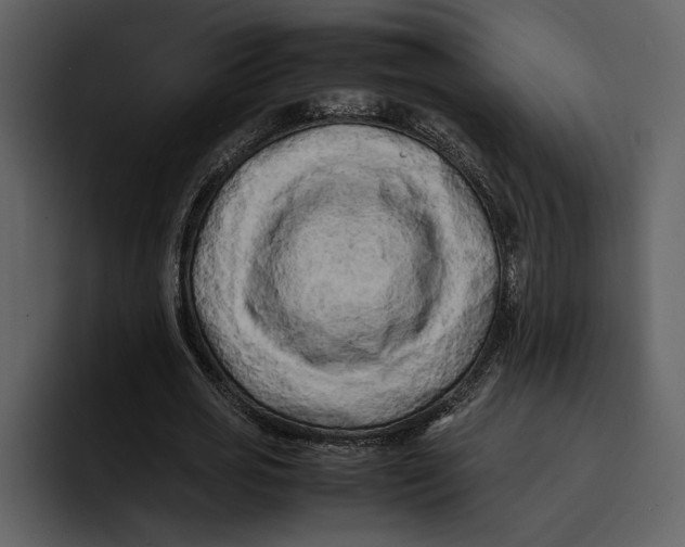 X0000095690725200801291216