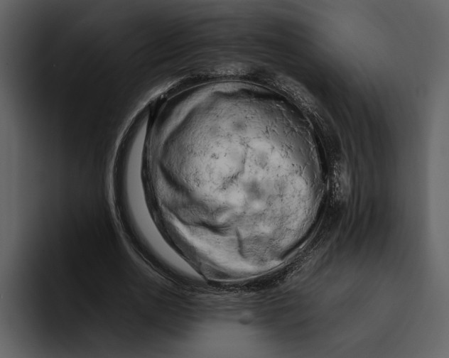 X0000095690726200801291216