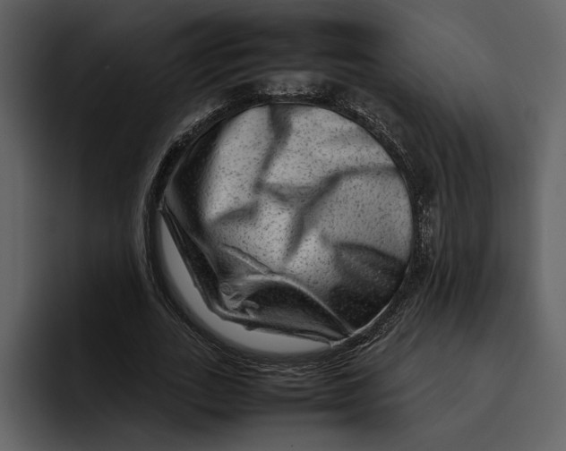 X0000095690727200801291216