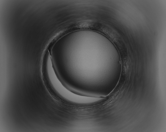 X0000095690728200801291216