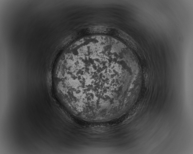 X0000095690729200801291216