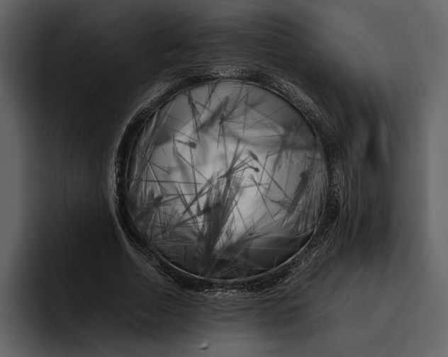 X0000095690730200801291216