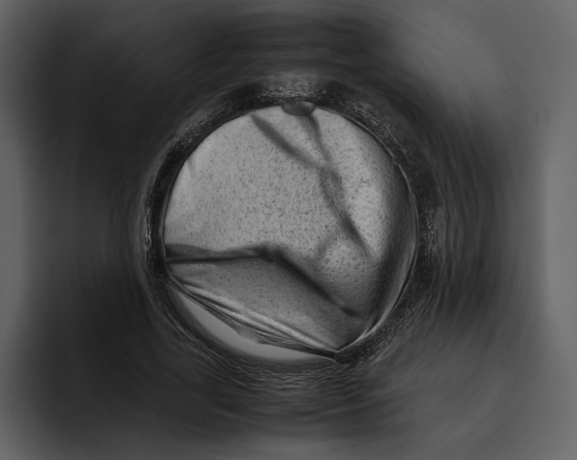 X0000095690731200801291216