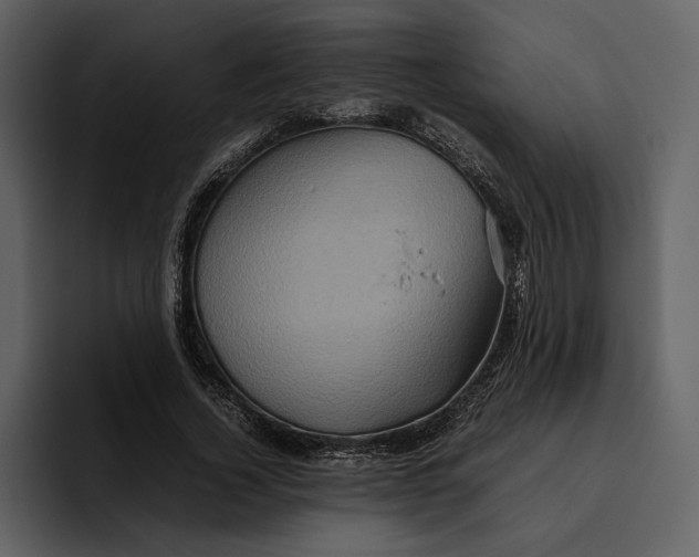 X0000095690732200801291216