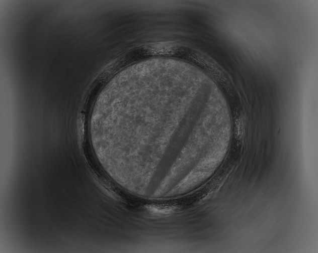 X0000095690733200801291216