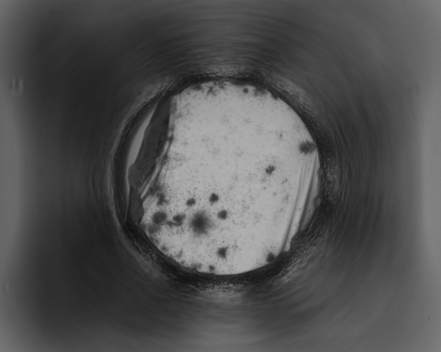 X0000095690734200801291216