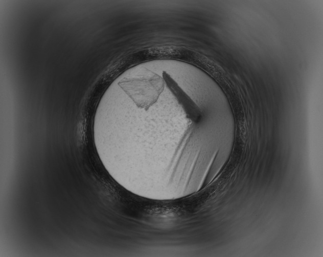 X0000095690735200801291216