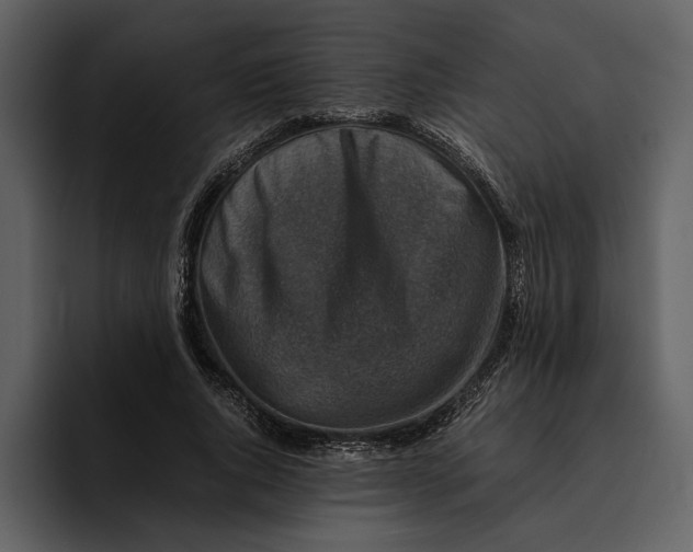 X0000095690736200801291216