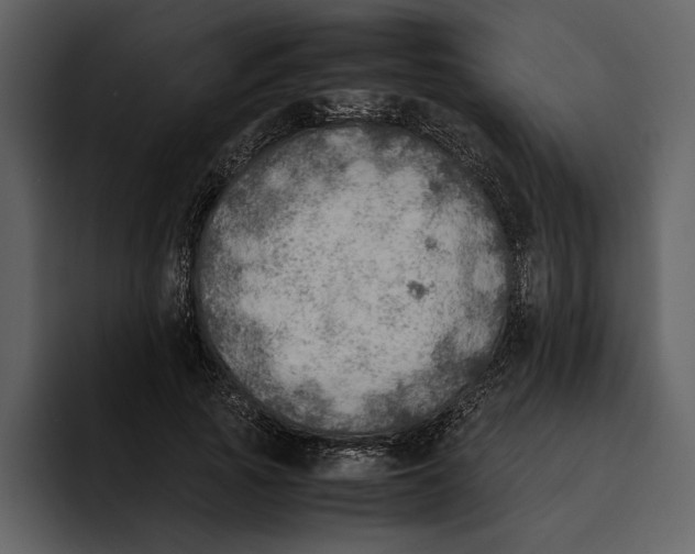 X0000095690737200801291217