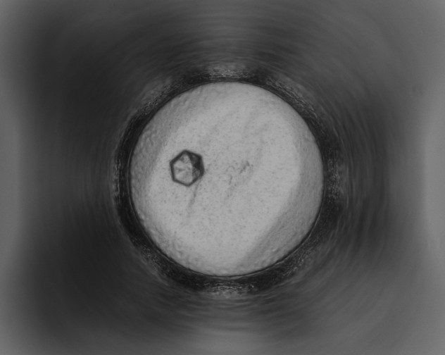 X0000095690738200801291217