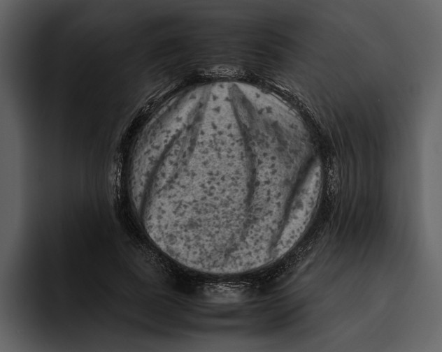 X0000095690739200801291217