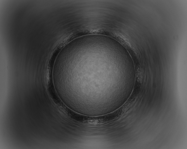 X0000095690740200801291217