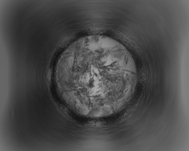 X0000095690742200801291217