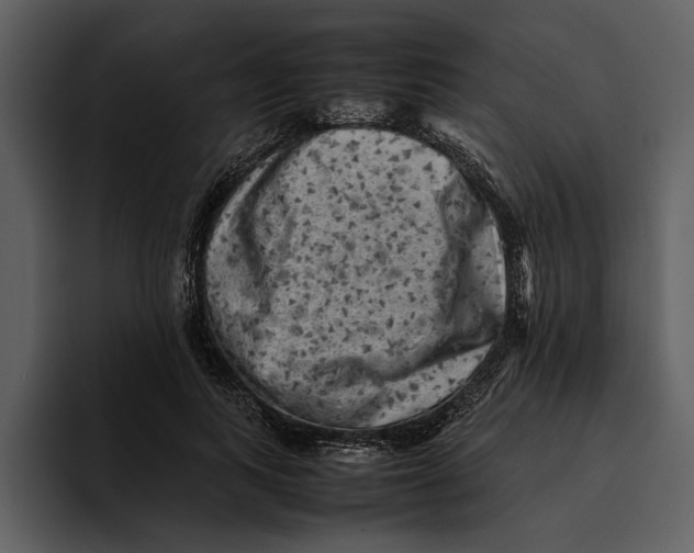 X0000095690743200801291217