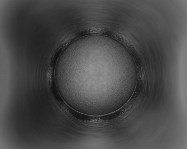 X0000095690744200801291217