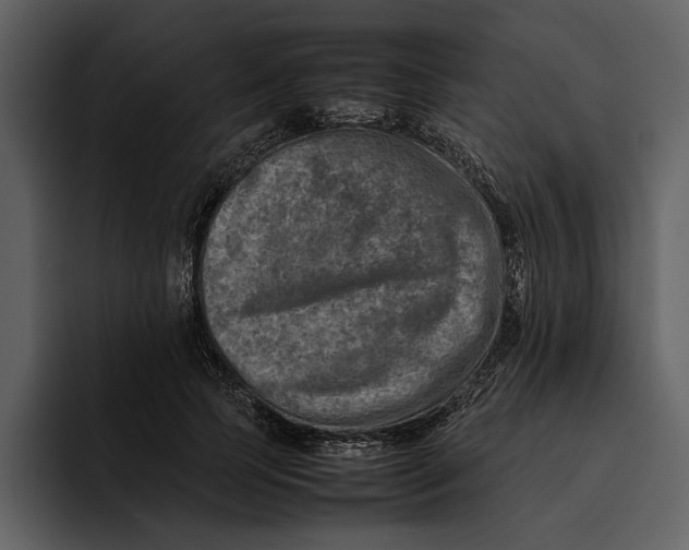 X0000095690745200801291217