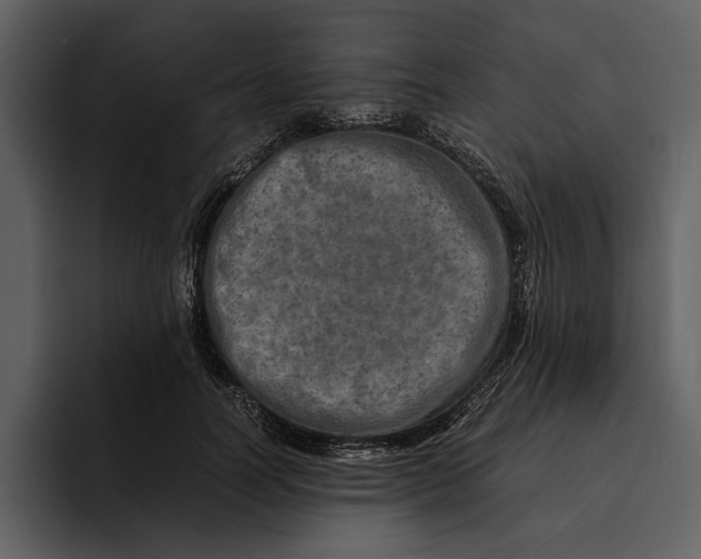 X0000095690746200801291217