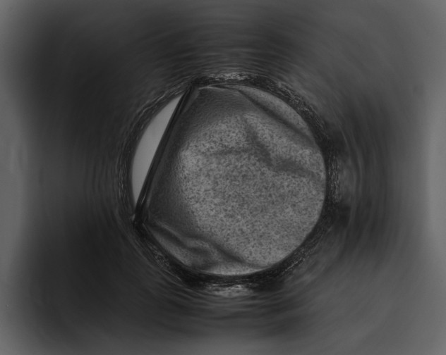 X0000095690747200801291217