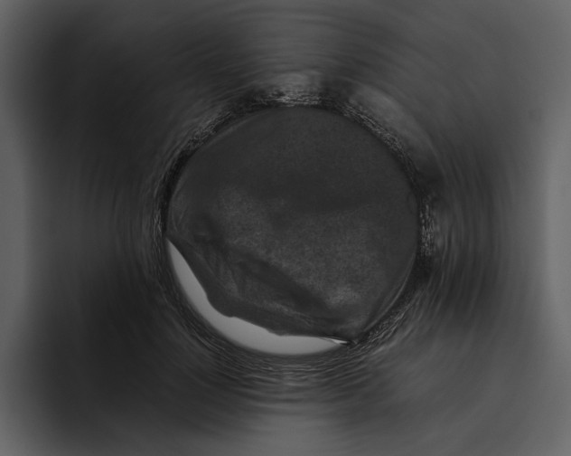 X0000095690748200801291217