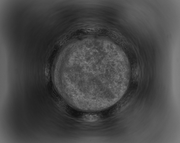 X0000095690749200801291217