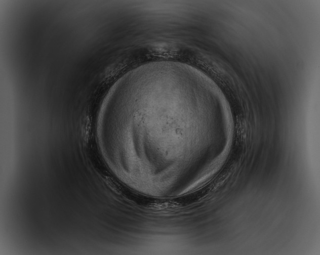 X0000095690752200801291217