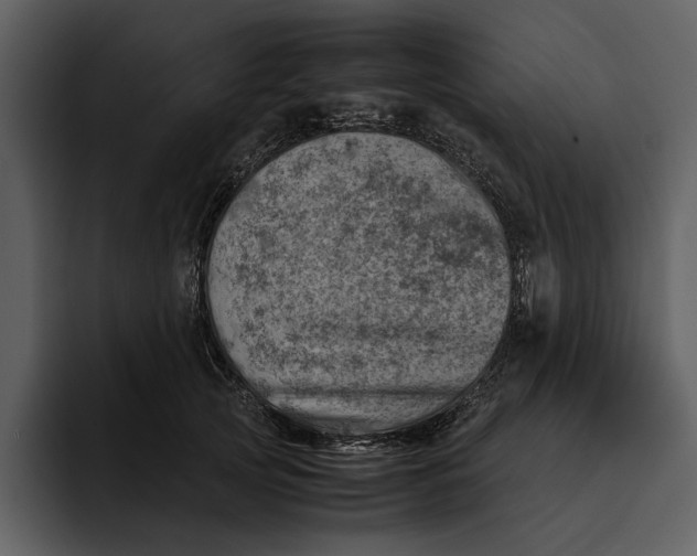 X0000095690753200801291217