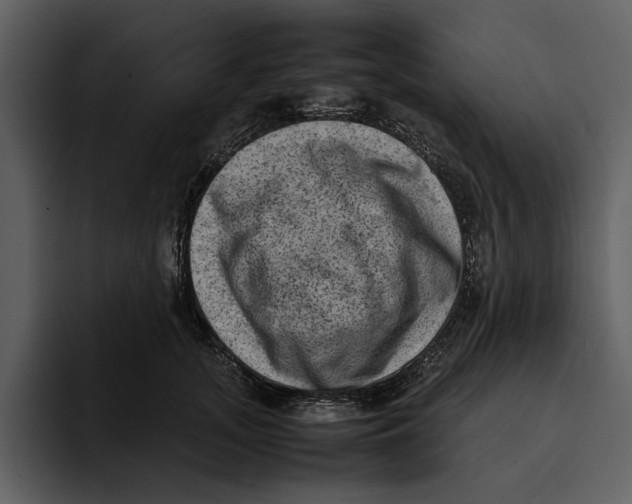 X0000095690755200801291217